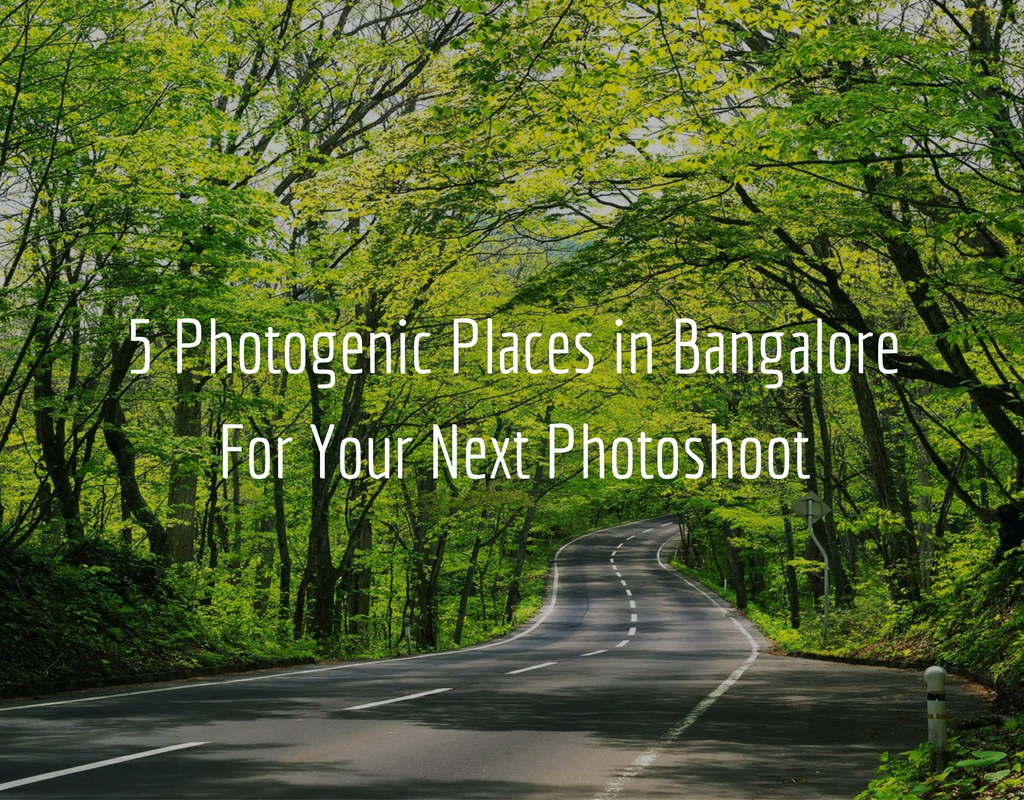 The Amateur Photographers Guide to 5 Photogenic Places in Bangalores